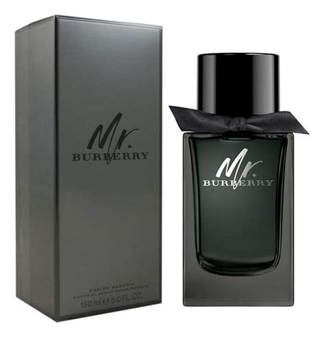 mr burberry uomo amazon|mr burberry cologne.